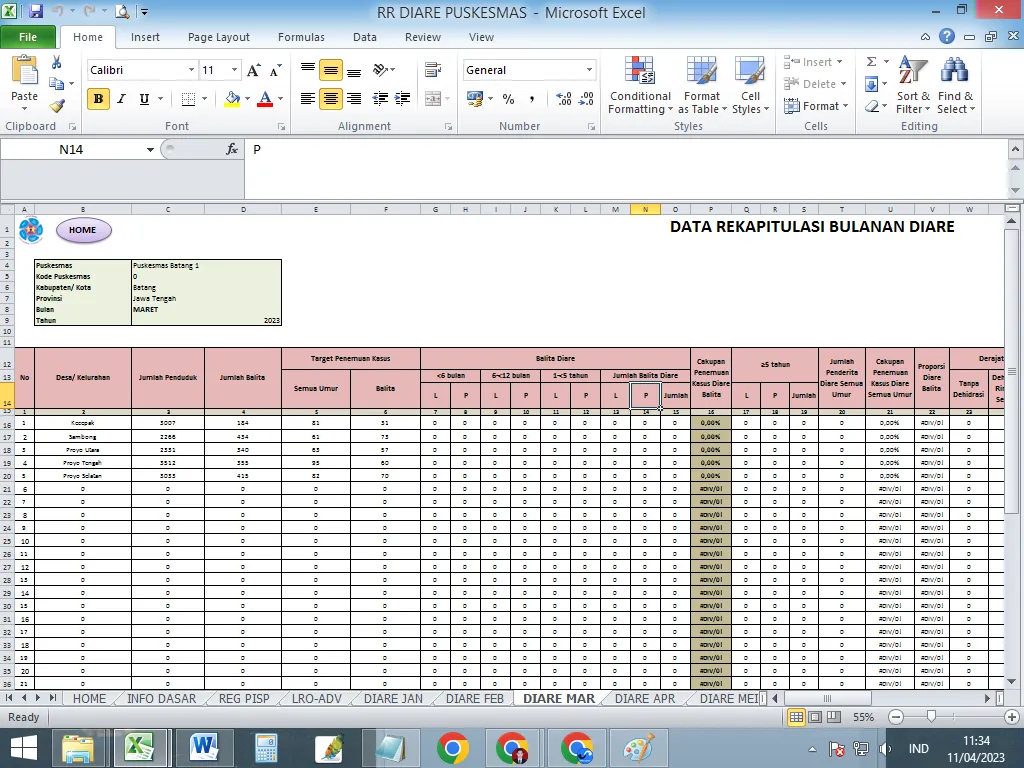 Input Data Excel untuk Keperluan Puskesmas