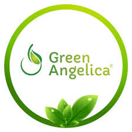Green Angelica